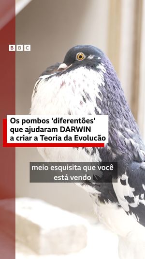 Image post by @bbcbrasil on Instagram