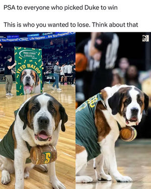 Image post by @betmgm on Instagram