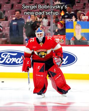 Video post by @nhl on TikTok