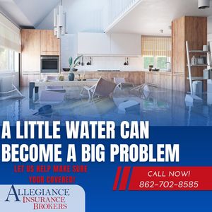 Image post by @allegianceib on Instagram