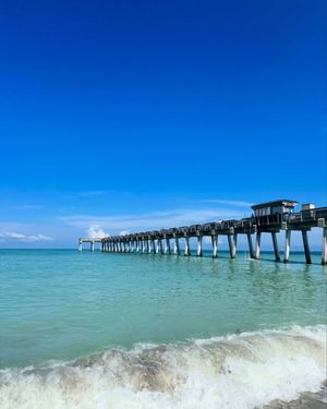 Image post by @visitsarasotacounty on Instagram