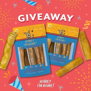 Image post by @honeyimhome on Instagram
