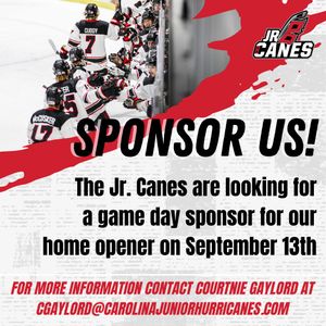 Image post by @USPHLjrcanes on Twitter