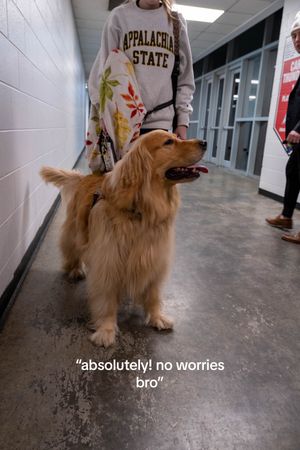 Video post by @appstatehockey on TikTok