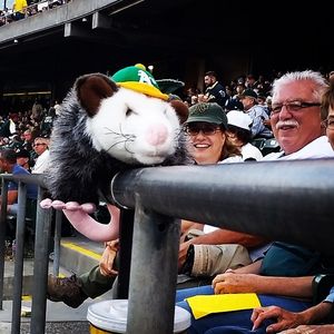 Image post by @athletics on Instagram