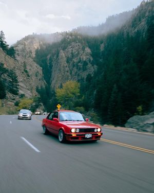 Image post by @cucarclub on Instagram