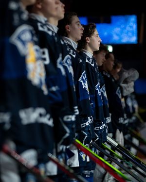 Image post by @leijonatfi on Instagram