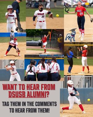 Image post by @DeSalesUniversitySoftball on Facebook