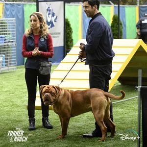 Image post by @disneypets on Instagram