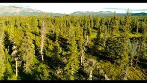 Video post by @bbcearth on YouTube