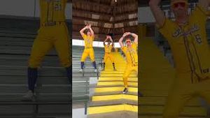 Video post by @thesavannahbananas on YouTube
