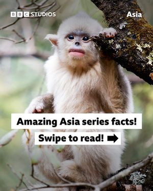 Image post by @bbcstudios on Instagram
