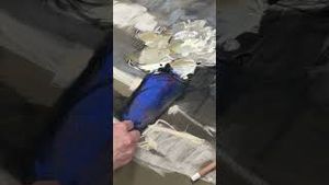 Video post by @jerrysartaramaartsupply on YouTube