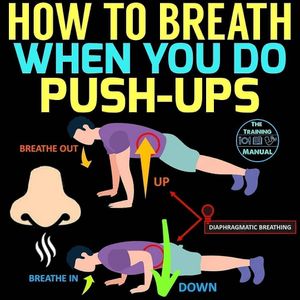 Image post by @thetrainingmanual on Instagram