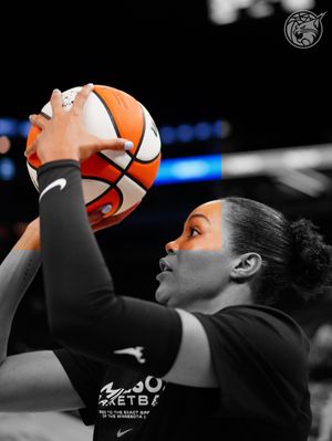 Image post by @minnesotalynx on Instagram