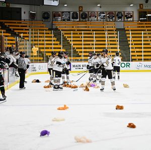 Image post by @d3wmustallionshockey on Instagram