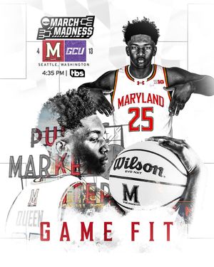 Image post by @terrapinhoops on Instagram