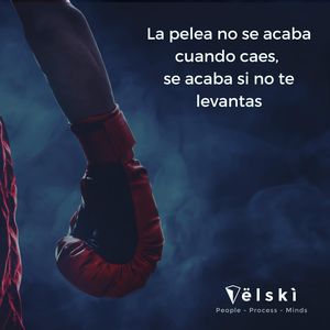 Image post by @mariovelski on Instagram