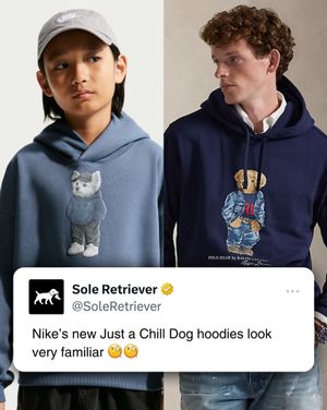 Image post by @soleretriever on Instagram