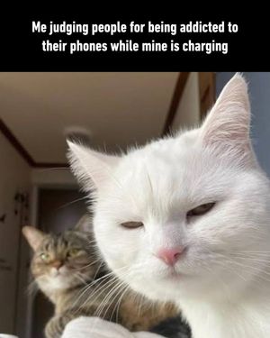 Image post by @9gag on Instagram