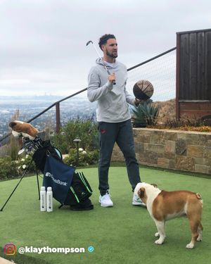 Image post by @golfdogs on Instagram