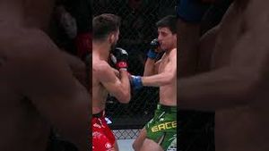 Video post by @ufc on YouTube