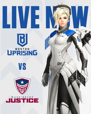 Image post by @BostonUprising on Twitter