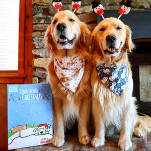 Image post by @honeyimhome on Instagram