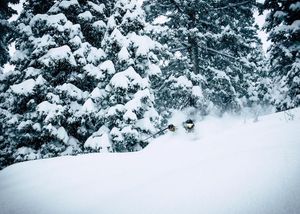 Image post by @chrislholder on Instagram