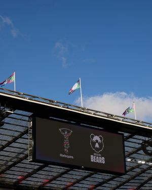 Image post by @harlequins on Instagram