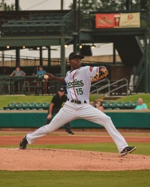 Image post by @gowoodducks on Instagram