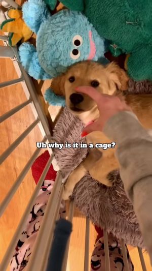 Video post by @byhaleyjo on TikTok