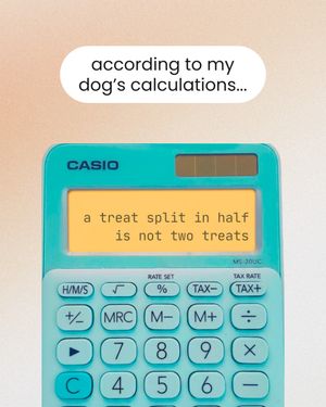 Image post by @solidgoldpets on Instagram