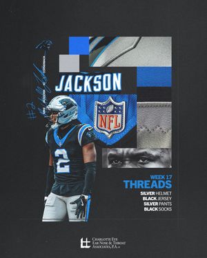Image post by @panthers on Instagram