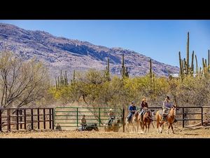 Video post by @ArizonaTourism on YouTube
