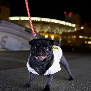 Image post by @discoversandiegous on Instagram