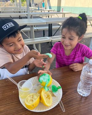 Image post by @bgcnv on Instagram