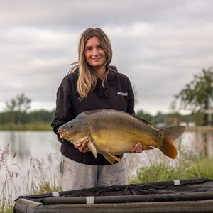 Image post by @brothercarp on Instagram
