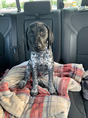 Image post by @mupdblue on Instagram