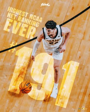 Image post by @vandalhoops on Instagram