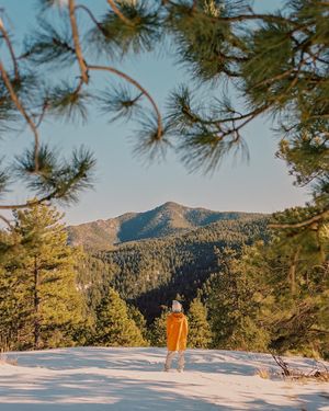 Image post by @connorpickett on Instagram