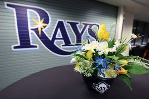 Image post by @wisetampabay on Instagram