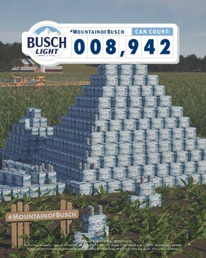 Image post by @BuschBeer on Twitter