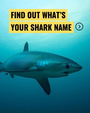 Image post by @greenpeace on Instagram