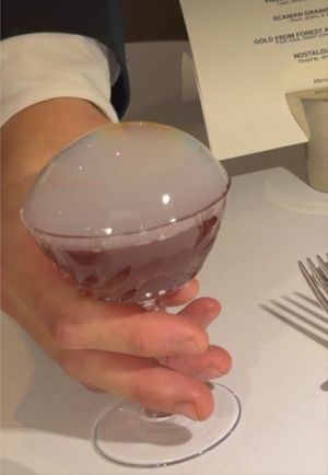 Video post by @highspeeddining on TikTok