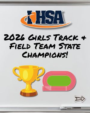 Image post by @ihsa_il on Instagram