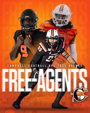 Image post by @GoCamels on Twitter
