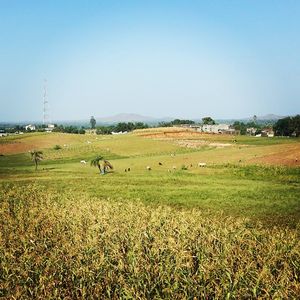 Image post by @kanchan_balani on Instagram