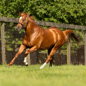 Image post by @juddmonte on Instagram