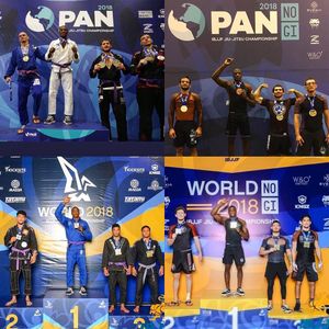 Image post by @ronaldojuniorbjj on Instagram